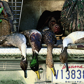 /blogs/haydels-pro-calling-blog/10-tips-for-better-duck-calling