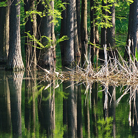 /blogs/haydels-pro-calling-blog/timbeeerrrrrr